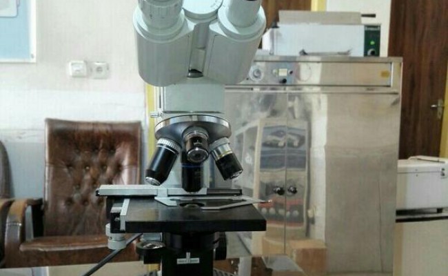 انواع میکروسکوپ و لوپ بینوکولار استرئو میکروسکوپ